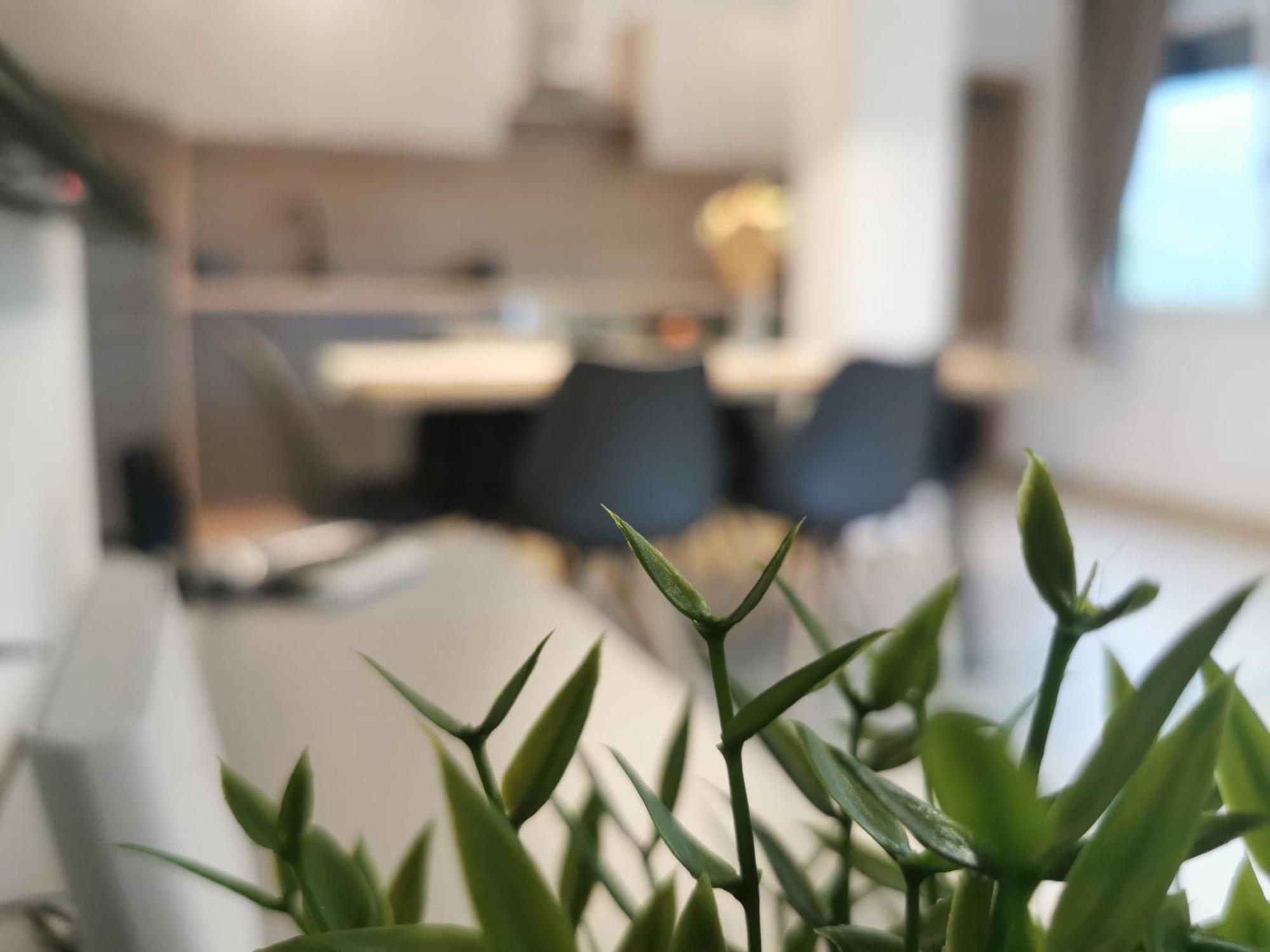 Apartma Bella Nadiza Кобарид Екстериор снимка